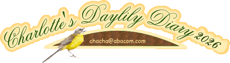 Charlotte's Daylily Diary