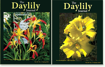 sample photo of 2 ADS Journals