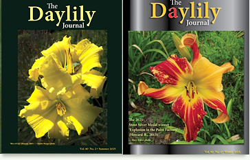 sample photo of 2 ADS Journals